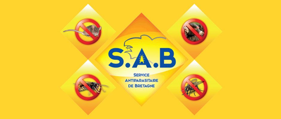 SAB 2017